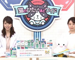 tvk猫のひたいほどワイド　５月のテーマは、未病対策のためのオーラルケアです！